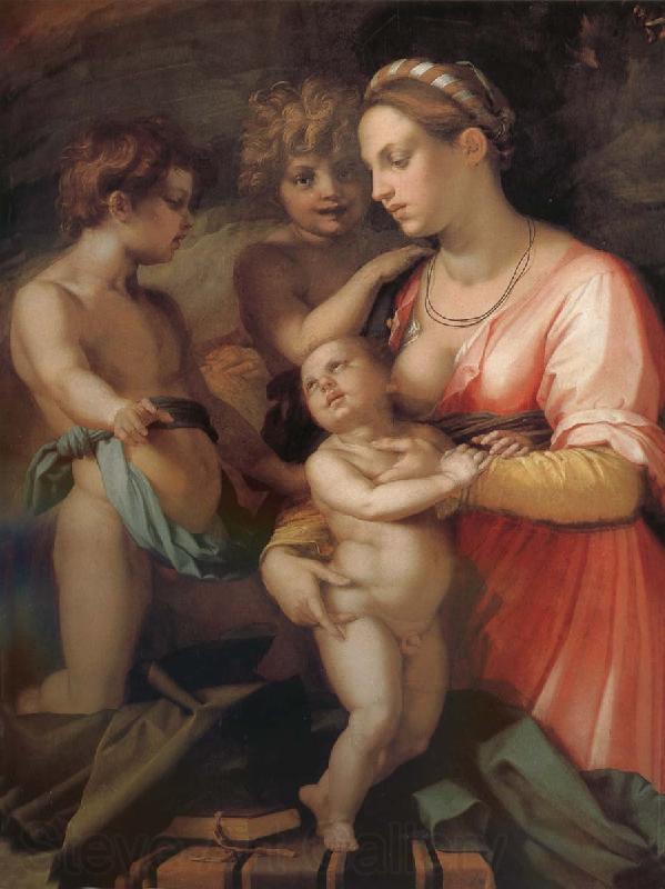 Andrea del Sarto Kindly Norge oil painting art
